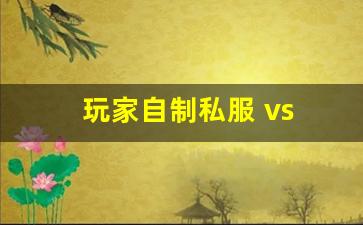 玩家自制私服 vs 官方正版：画质、玩法对比视频疯传